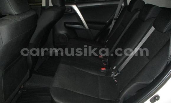 Tenga Tsaru Toyota RAV4 Chena Mota in Beitbridge in Matabeleland South Tenga Tsaru Toyota RAV4 Chena Mota in Beitbridge in Matabeleland South