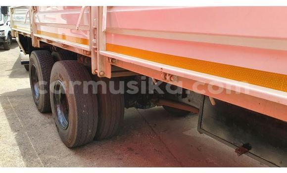 Tenga Tsaru Hino 300 Chena Rori in Beitbridge in Matabeleland South Tenga Tsaru Hino 300 Chena Rori in Beitbridge in Matabeleland South