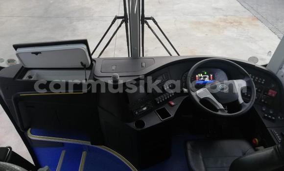 Tenga Tsaru International 7600i Chena Rori in Beitbridge in Matabeleland South Tenga Tsaru International 7600i Chena Rori in Beitbridge in Matabeleland South