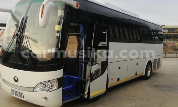 Tenga Tsaru International 7600i Chena Rori in Beitbridge in Matabeleland South Tenga Tsaru International 7600i Chena Rori in Beitbridge in Matabeleland South