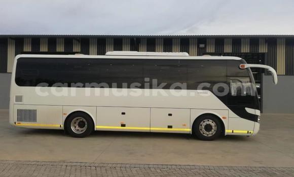 Tenga Tsaru International 7600i Chena Rori in Beitbridge in Matabeleland South Tenga Tsaru International 7600i Chena Rori in Beitbridge in Matabeleland South