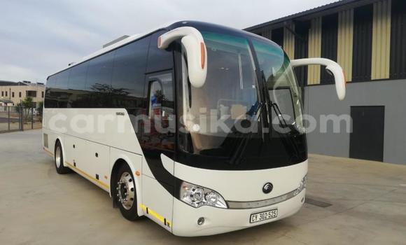 Tenga Tsaru International 7600i Chena Rori in Beitbridge in Matabeleland South Tenga Tsaru International 7600i Chena Rori in Beitbridge in Matabeleland South