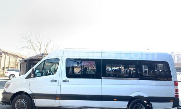 Tenga Tsaru Mercedes‒Benz Sprinter Chena Rori in Beitbridge in Matabeleland South Tenga Tsaru Mercedes‒Benz Sprinter Chena Rori in Beitbridge in Matabeleland South