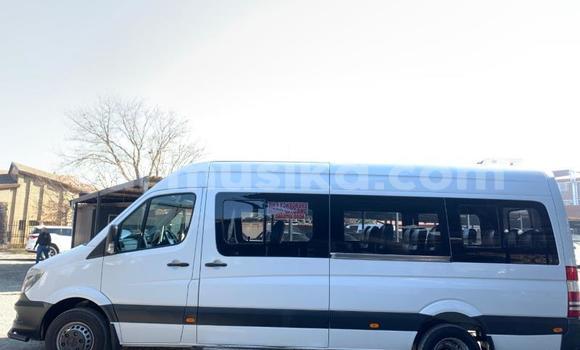 Tenga Tsaru Mercedes‒Benz Sprinter Chena Rori in Beitbridge in Matabeleland South Tenga Tsaru Mercedes‒Benz Sprinter Chena Rori in Beitbridge in Matabeleland South