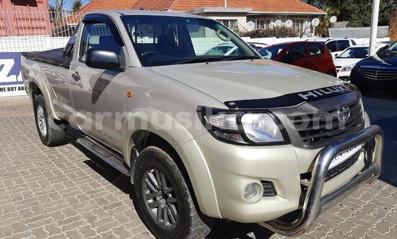 Acheter Occasion Voiture Toyota Hilux Marron à Beitbridge, Matabeleland South Acheter Occasion Voiture Toyota Hilux Marron à Beitbridge, Matabeleland South