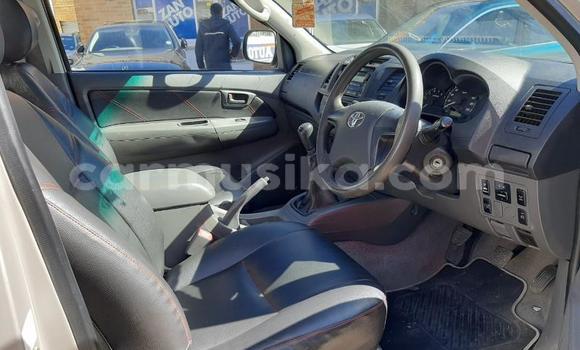 Acheter Occasion Voiture Toyota Hilux Marron à Beitbridge, Matabeleland South Acheter Occasion Voiture Toyota Hilux Marron à Beitbridge, Matabeleland South