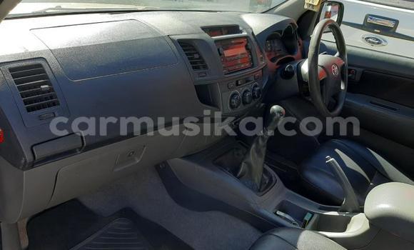 Acheter Occasion Voiture Toyota Hilux Marron à Beitbridge, Matabeleland South Acheter Occasion Voiture Toyota Hilux Marron à Beitbridge, Matabeleland South