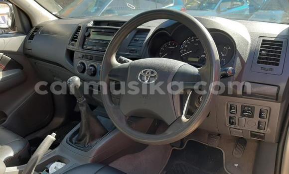 Acheter Occasion Voiture Toyota Hilux Marron à Beitbridge, Matabeleland South Acheter Occasion Voiture Toyota Hilux Marron à Beitbridge, Matabeleland South