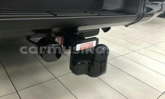 Tenga Tsaru Toyota Hilux Chena Mota in Beitbridge in Matabeleland South Tenga Tsaru Toyota Hilux Chena Mota in Beitbridge in Matabeleland South