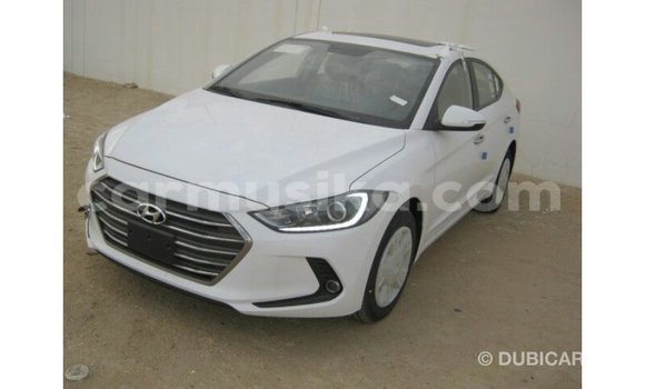 Buy Import Hyundai Elantra White Car in Import - Dubai in Harare Buy Import Hyundai Elantra White Car in Import - Dubai in Harare