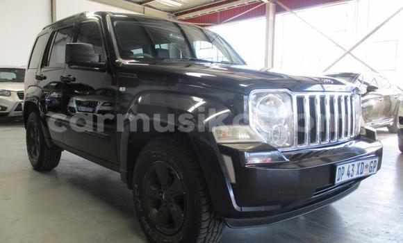 Nunua Ilio tumika Jeep CJ Nyeusi Gari ndani ya Bulawayo nchini Bulawayo