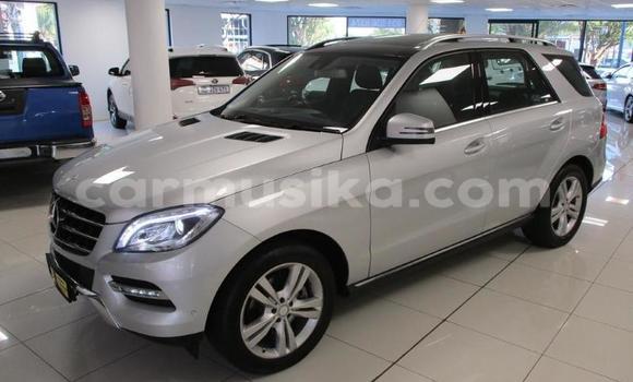 Tenga Tsaru Mercedes‒Benz ML–Class Zvimwe Mota in Beitbridge in Matabeleland South Tenga Tsaru Mercedes‒Benz ML–Class Zvimwe Mota in Beitbridge in Matabeleland South