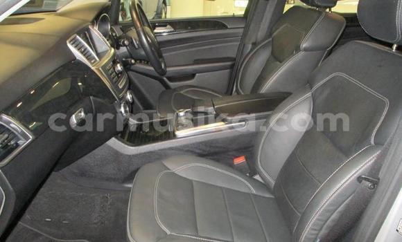 Tenga Tsaru Mercedes‒Benz ML–Class Zvimwe Mota in Beitbridge in Matabeleland South Tenga Tsaru Mercedes‒Benz ML–Class Zvimwe Mota in Beitbridge in Matabeleland South