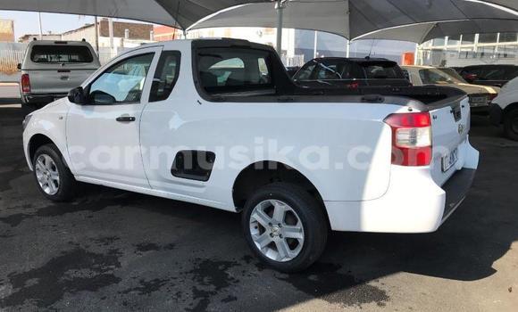 Tenga Tsaru Chevrolet Van Chena Mota in Beitbridge in Matabeleland South Tenga Tsaru Chevrolet Van Chena Mota in Beitbridge in Matabeleland South