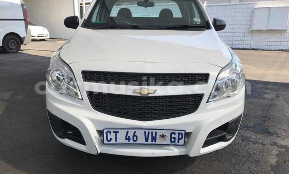 Tenga Tsaru Chevrolet Van Chena Mota in Beitbridge in Matabeleland South Tenga Tsaru Chevrolet Van Chena Mota in Beitbridge in Matabeleland South