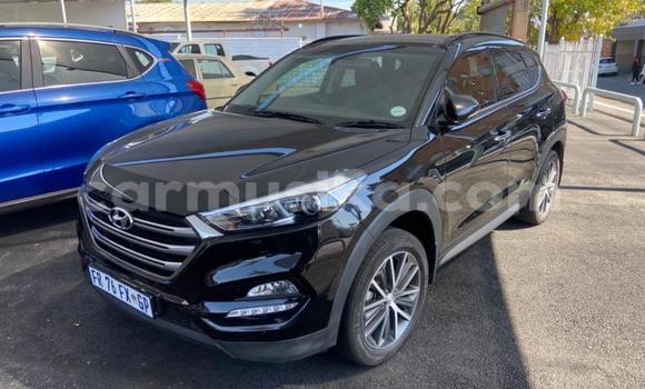 Nunua Ilio tumika Hyundai Tucson Nyeusi Gari ndani ya Beitbridge nchini Matabeleland Kusini