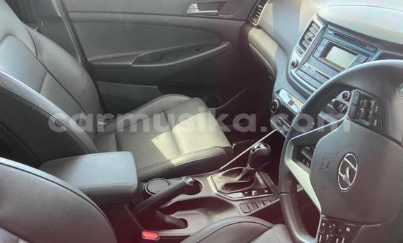 Tenga Tsaru Hyundai Tucson Nhema Mota in Beitbridge in Matabeleland South Tenga Tsaru Hyundai Tucson Nhema Mota in Beitbridge in Matabeleland South