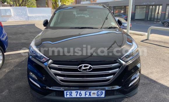 Tenga Tsaru Hyundai Tucson Nhema Mota in Beitbridge in Matabeleland South Tenga Tsaru Hyundai Tucson Nhema Mota in Beitbridge in Matabeleland South