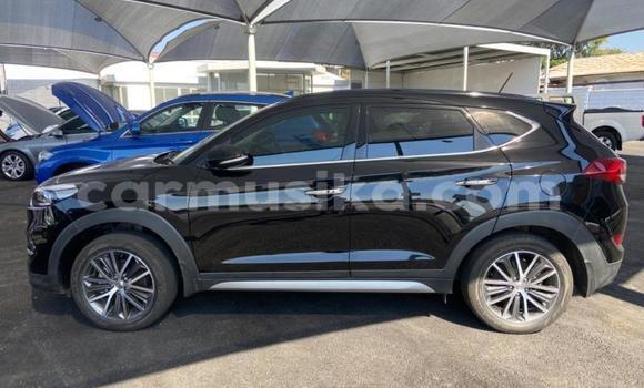 Tenga Tsaru Hyundai Tucson Nhema Mota in Beitbridge in Matabeleland South Tenga Tsaru Hyundai Tucson Nhema Mota in Beitbridge in Matabeleland South