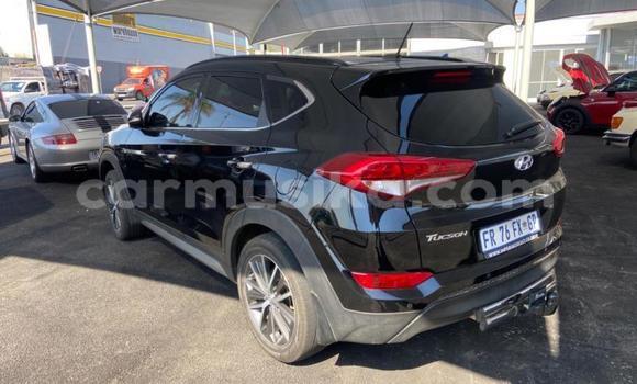 Tenga Tsaru Hyundai Tucson Nhema Mota in Beitbridge in Matabeleland South Tenga Tsaru Hyundai Tucson Nhema Mota in Beitbridge in Matabeleland South