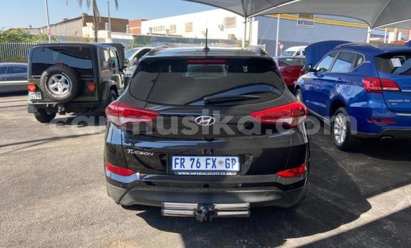 Tenga Tsaru Hyundai Tucson Nhema Mota in Beitbridge in Matabeleland South Tenga Tsaru Hyundai Tucson Nhema Mota in Beitbridge in Matabeleland South