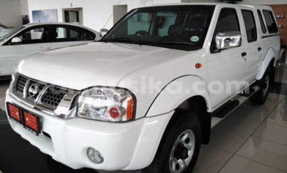 Tenga Tsaru Nissan NP 300 Chena Mota in Beitbridge in Matabeleland South