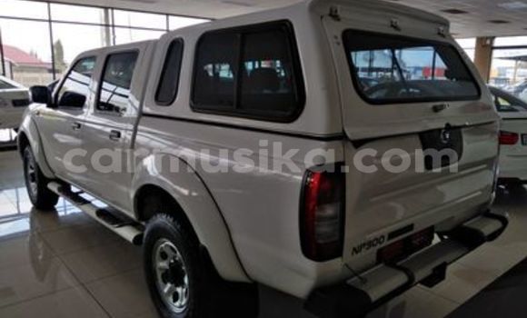 Acheter Occasion Voiture Nissan NP 300 Blanc à Beitbridge, Matabeleland South Acheter Occasion Voiture Nissan NP 300 Blanc à Beitbridge, Matabeleland South