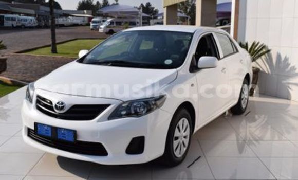 Tenga Tsaru Toyota Platz Chena Mota in Beitbridge in Matabeleland South