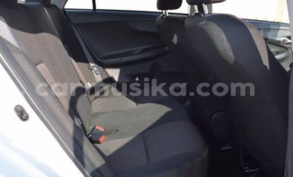 Acheter Occasion Voiture Toyota Platz Blanc à Beitbridge, Matabeleland South Acheter Occasion Voiture Toyota Platz Blanc à Beitbridge, Matabeleland South