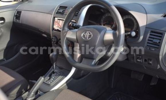 Acheter Occasion Voiture Toyota Platz Blanc à Beitbridge, Matabeleland South Acheter Occasion Voiture Toyota Platz Blanc à Beitbridge, Matabeleland South