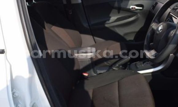 Acheter Occasion Voiture Toyota Platz Blanc à Beitbridge, Matabeleland South Acheter Occasion Voiture Toyota Platz Blanc à Beitbridge, Matabeleland South