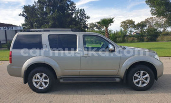 Nunua Ilio tumika Nissan Pathfinder Nyingine Gari ndani ya Beitbridge nchini Matabeleland Kusini