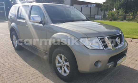 Tenga Tsaru Nissan Pathfinder Zvimwe Mota in Beitbridge in Matabeleland South Tenga Tsaru Nissan Pathfinder Zvimwe Mota in Beitbridge in Matabeleland South