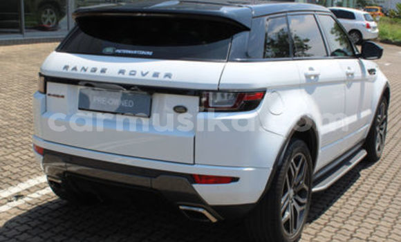 Nunua Ilio tumika Land Rover Range Rover Evoque Nyeupe Gari ndani ya Beitbridge nchini Matabeleland Kusini Nunua Ilio tumika Land Rover Range Rover Evoque Nyeupe Gari ndani ya Beitbridge nchini Matabeleland Kusini