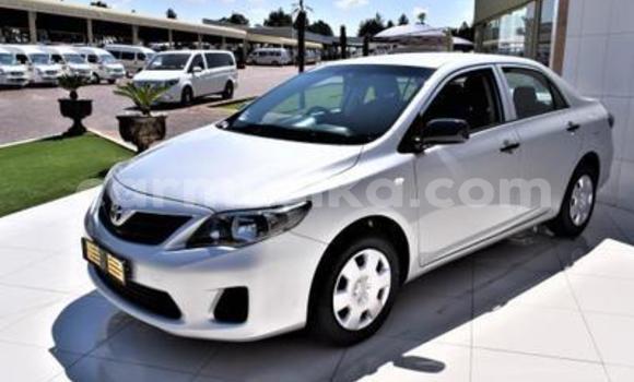 Tenga Tsaru Toyota Corolla Sirivha Mota in Beitbridge in Matabeleland South
