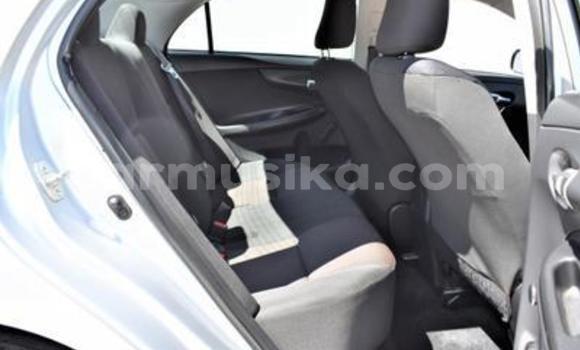 Acheter Occasion Voiture Toyota Corolla Gris à Beitbridge, Matabeleland South Acheter Occasion Voiture Toyota Corolla Gris à Beitbridge, Matabeleland South