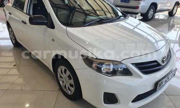 Buy Used Toyota Corolla White Car in Beitbridge in Matabeleland South