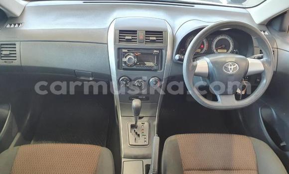 Tenga Tsaru Toyota Corolla Chena Mota in Beitbridge in Matabeleland South Tenga Tsaru Toyota Corolla Chena Mota in Beitbridge in Matabeleland South