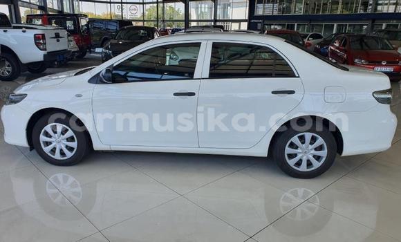 Tenga Tsaru Toyota Corolla Chena Mota in Beitbridge in Matabeleland South Tenga Tsaru Toyota Corolla Chena Mota in Beitbridge in Matabeleland South