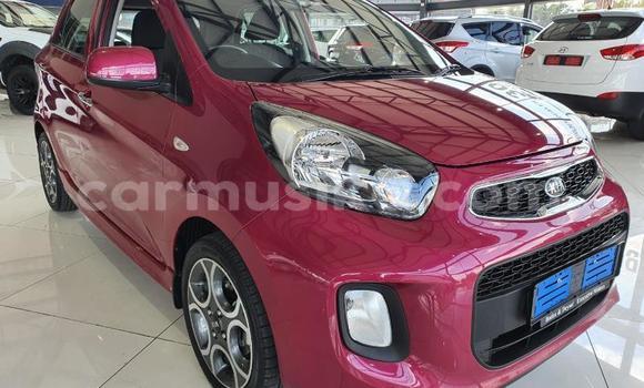 Acheter Occasion Voiture Kia Picanto Autre à Beitbridge, Matabeleland South