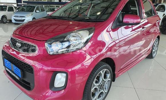 Acheter Occasion Voiture Kia Picanto Autre à Beitbridge, Matabeleland South Acheter Occasion Voiture Kia Picanto Autre à Beitbridge, Matabeleland South