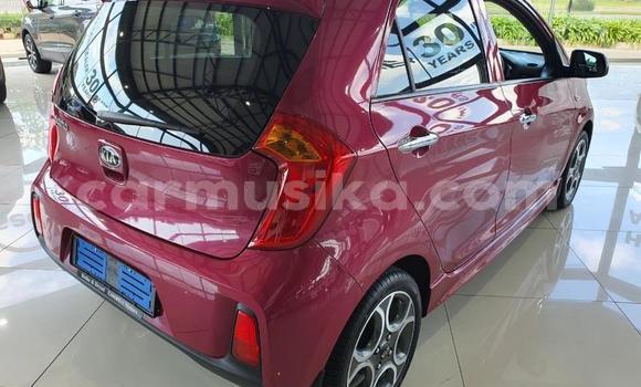 Acheter Occasion Voiture Kia Picanto Autre à Beitbridge, Matabeleland South Acheter Occasion Voiture Kia Picanto Autre à Beitbridge, Matabeleland South