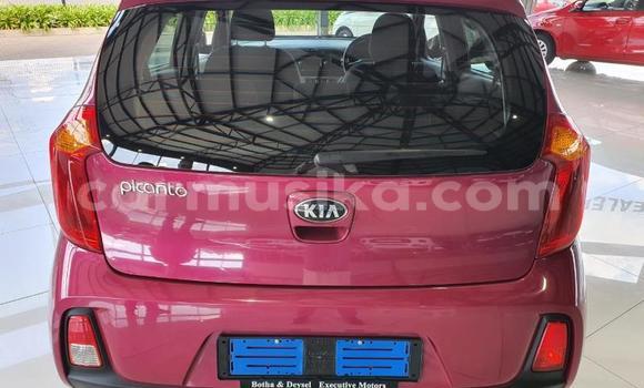 Acheter Occasion Voiture Kia Picanto Autre à Beitbridge, Matabeleland South Acheter Occasion Voiture Kia Picanto Autre à Beitbridge, Matabeleland South