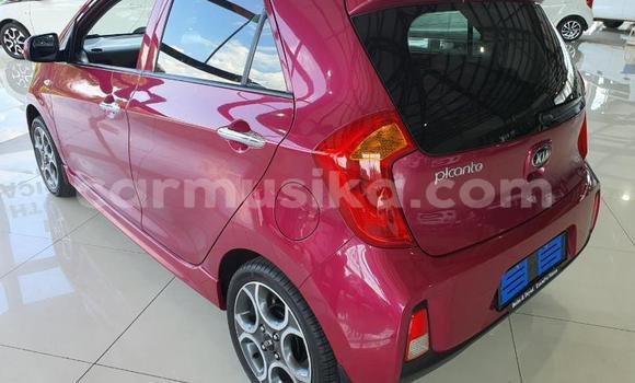 Acheter Occasion Voiture Kia Picanto Autre à Beitbridge, Matabeleland South Acheter Occasion Voiture Kia Picanto Autre à Beitbridge, Matabeleland South