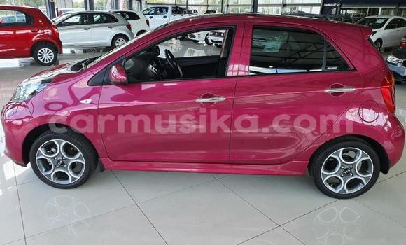 Acheter Occasion Voiture Kia Picanto Autre à Beitbridge, Matabeleland South Acheter Occasion Voiture Kia Picanto Autre à Beitbridge, Matabeleland South