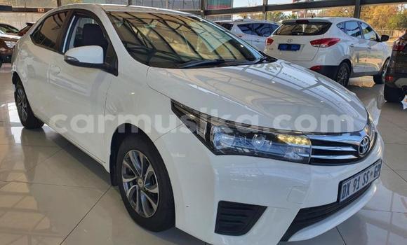Nunua Ilio tumika Toyota Corolla Nyeupe Gari ndani ya Beitbridge nchini Matabeleland Kusini