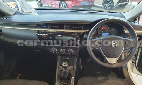 Tenga Tsaru Toyota Corolla Chena Mota in Beitbridge in Matabeleland South Tenga Tsaru Toyota Corolla Chena Mota in Beitbridge in Matabeleland South