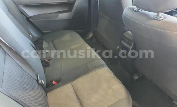 Tenga Tsaru Toyota Corolla Chena Mota in Beitbridge in Matabeleland South Tenga Tsaru Toyota Corolla Chena Mota in Beitbridge in Matabeleland South