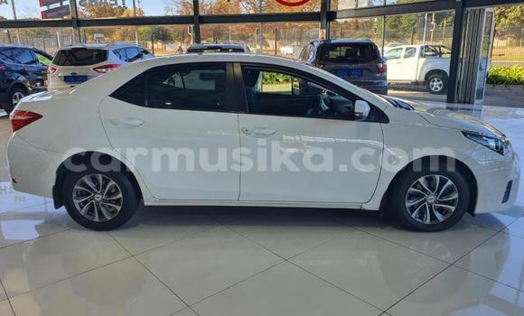 Tenga Tsaru Toyota Corolla Chena Mota in Beitbridge in Matabeleland South Tenga Tsaru Toyota Corolla Chena Mota in Beitbridge in Matabeleland South