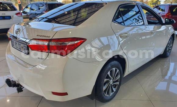 Tenga Tsaru Toyota Corolla Chena Mota in Beitbridge in Matabeleland South Tenga Tsaru Toyota Corolla Chena Mota in Beitbridge in Matabeleland South